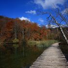 Flusslandschaft