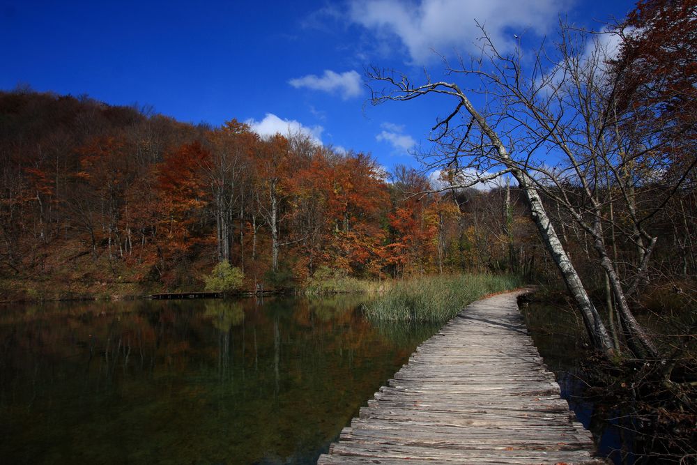 Flusslandschaft