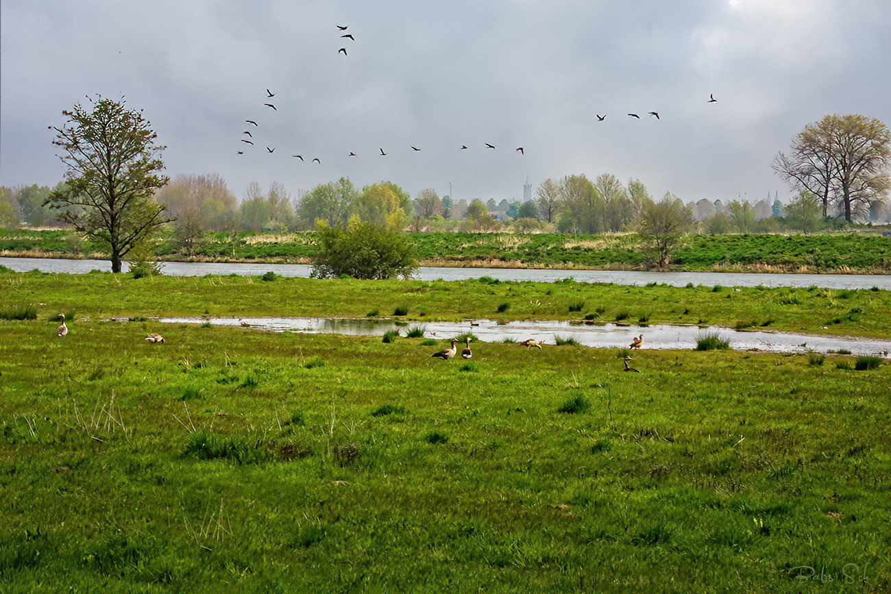 Flusslandschaft 