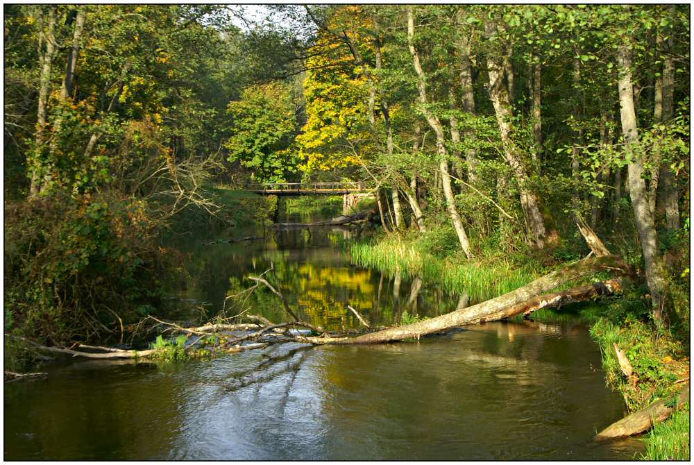 Flußlandschaft