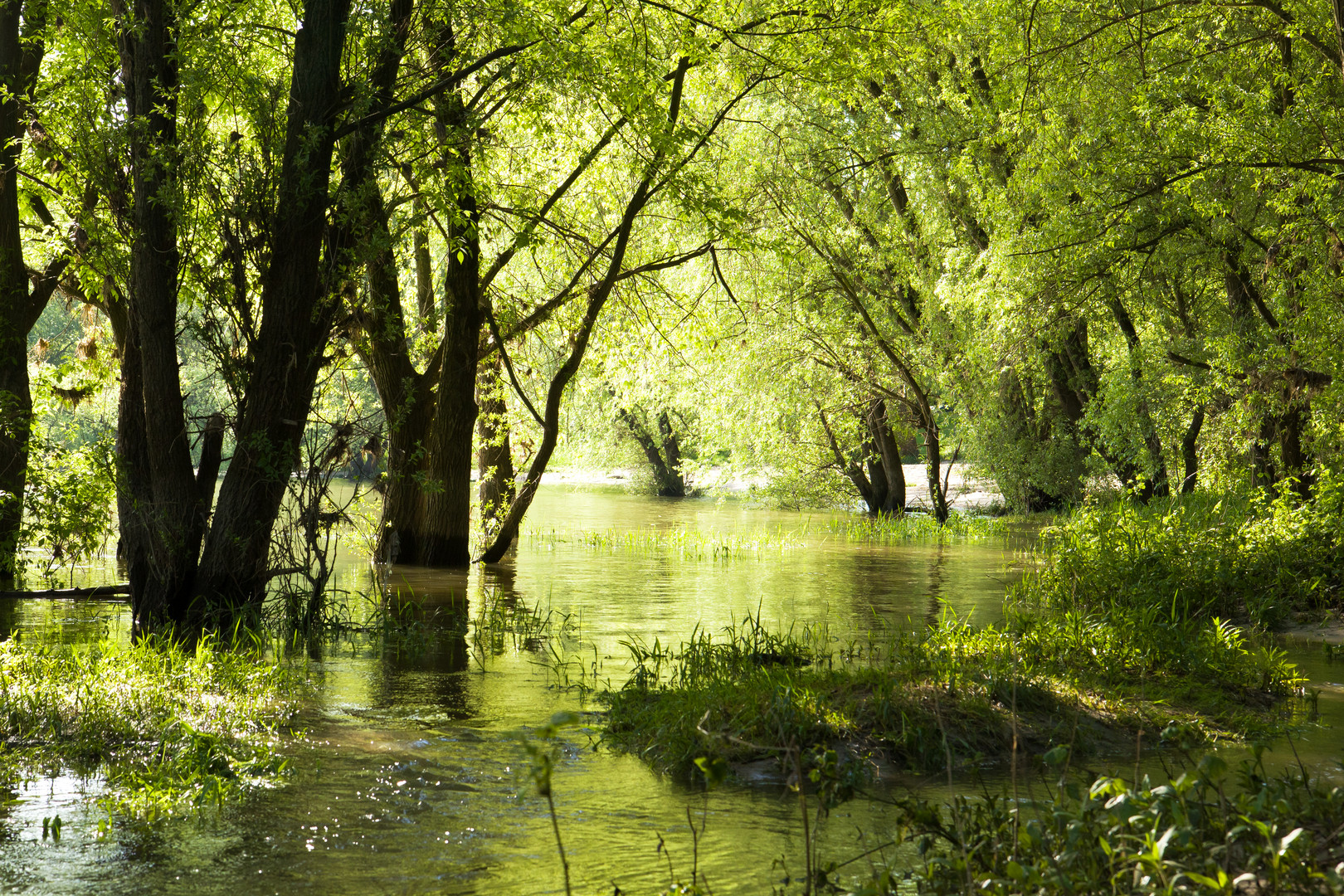 Flusslandschaft