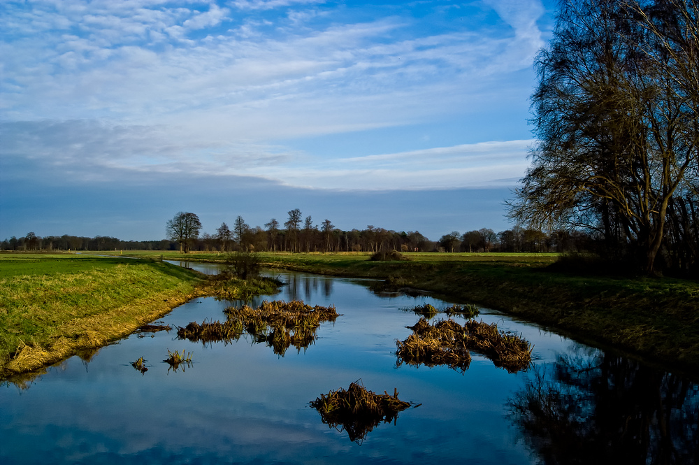 Flusslandschaft