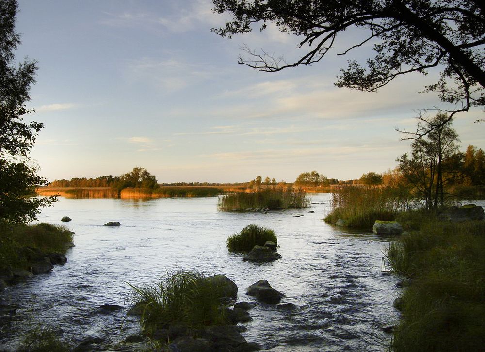 Flusslandschaft