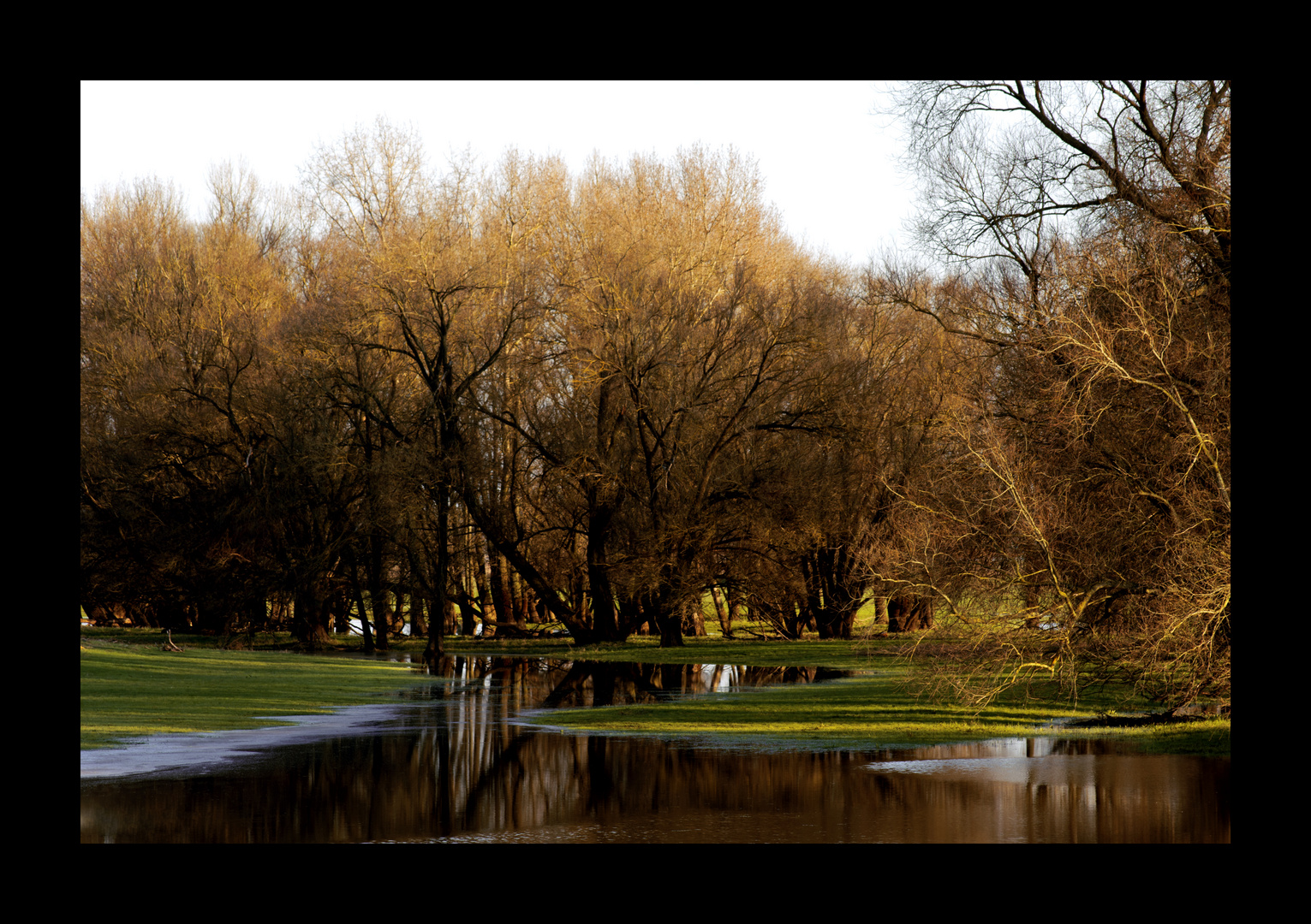 Flusslandschaft