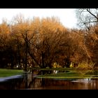 Flusslandschaft