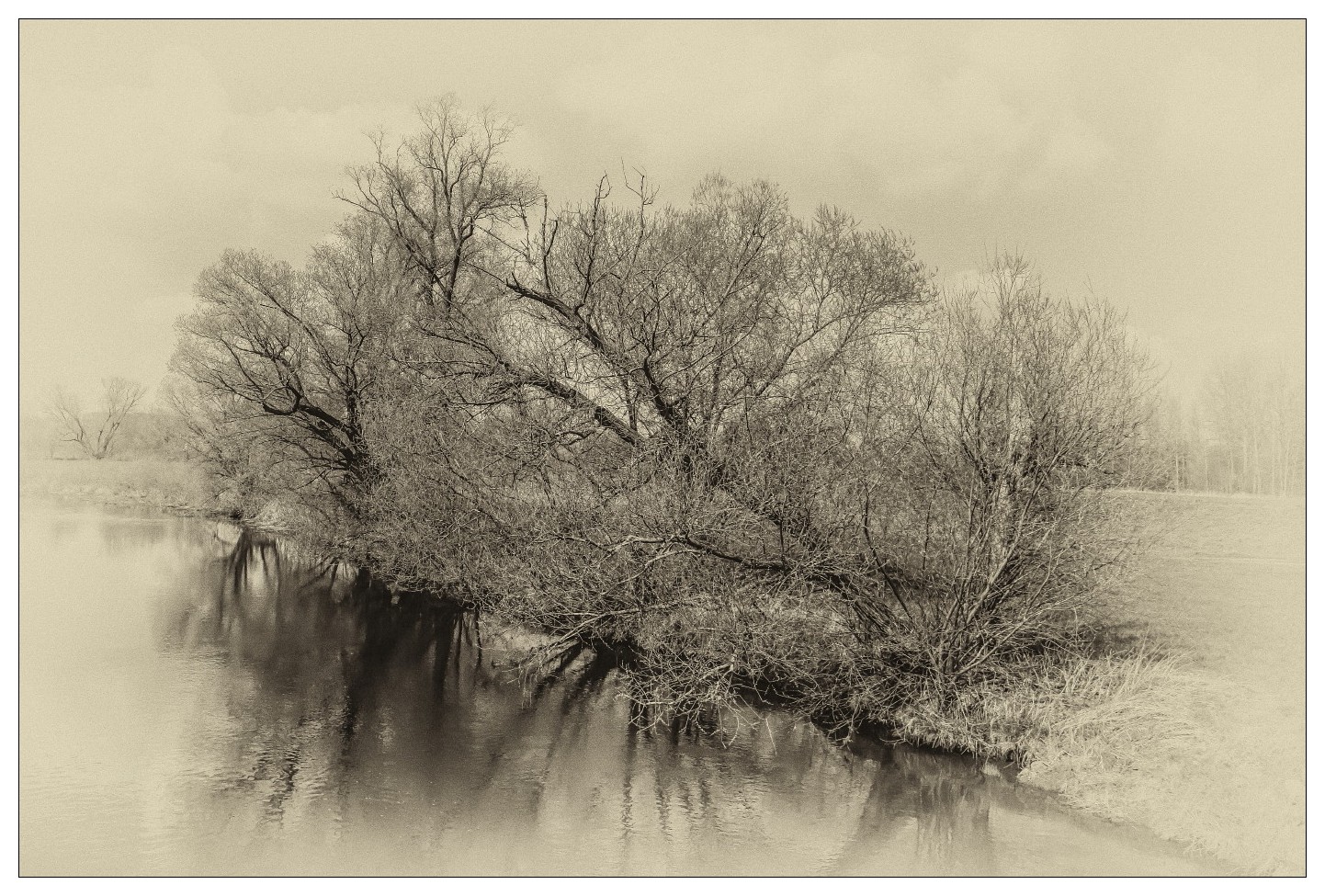 Flußlandschaft