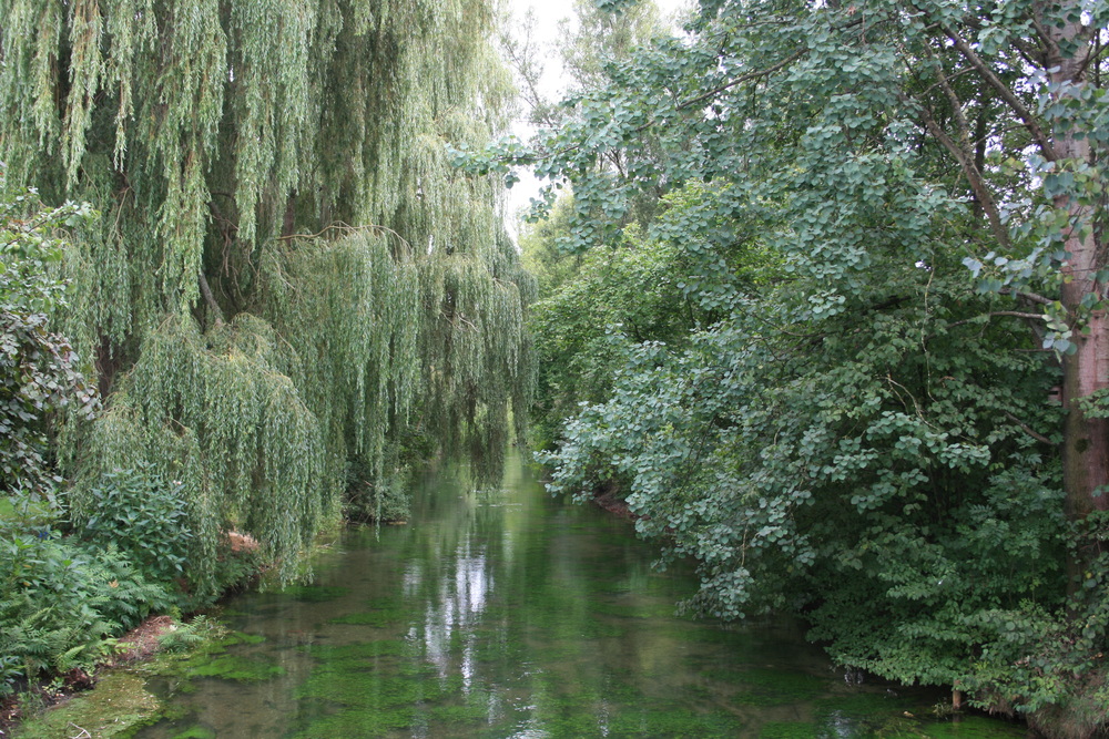 Flusslandschaft