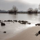 Flusslandschaft