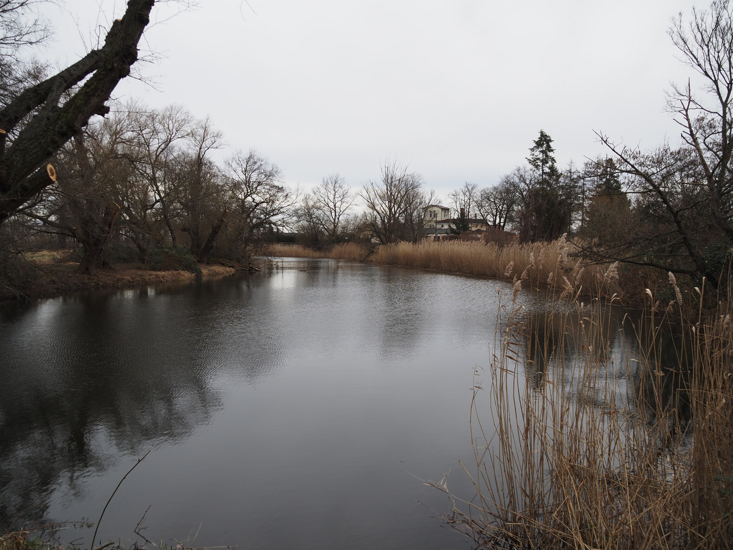 Flußlandschaft 