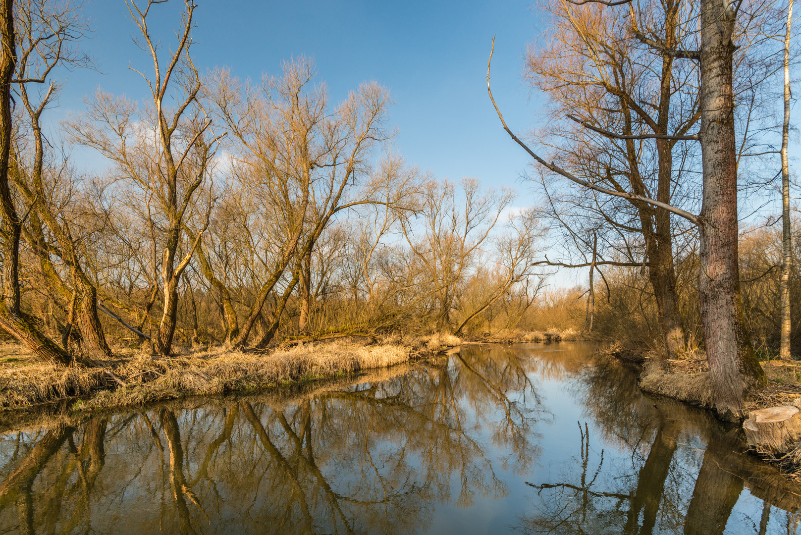 Flusslandschaft