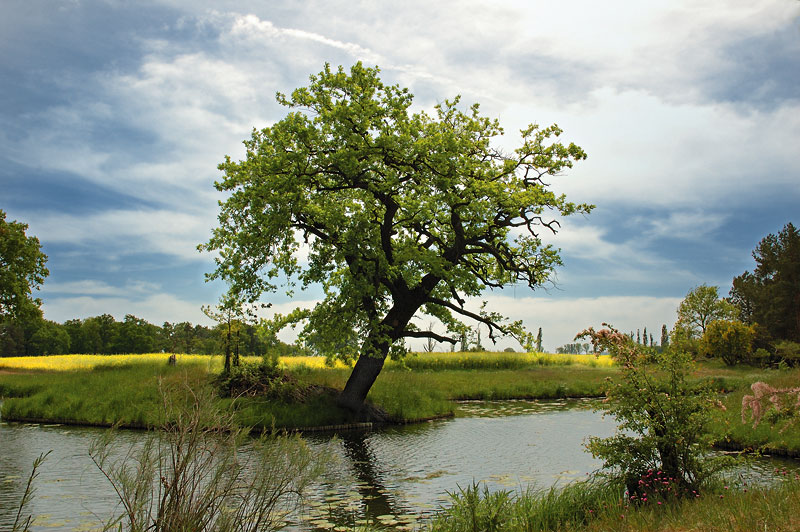 Flusslandschaft