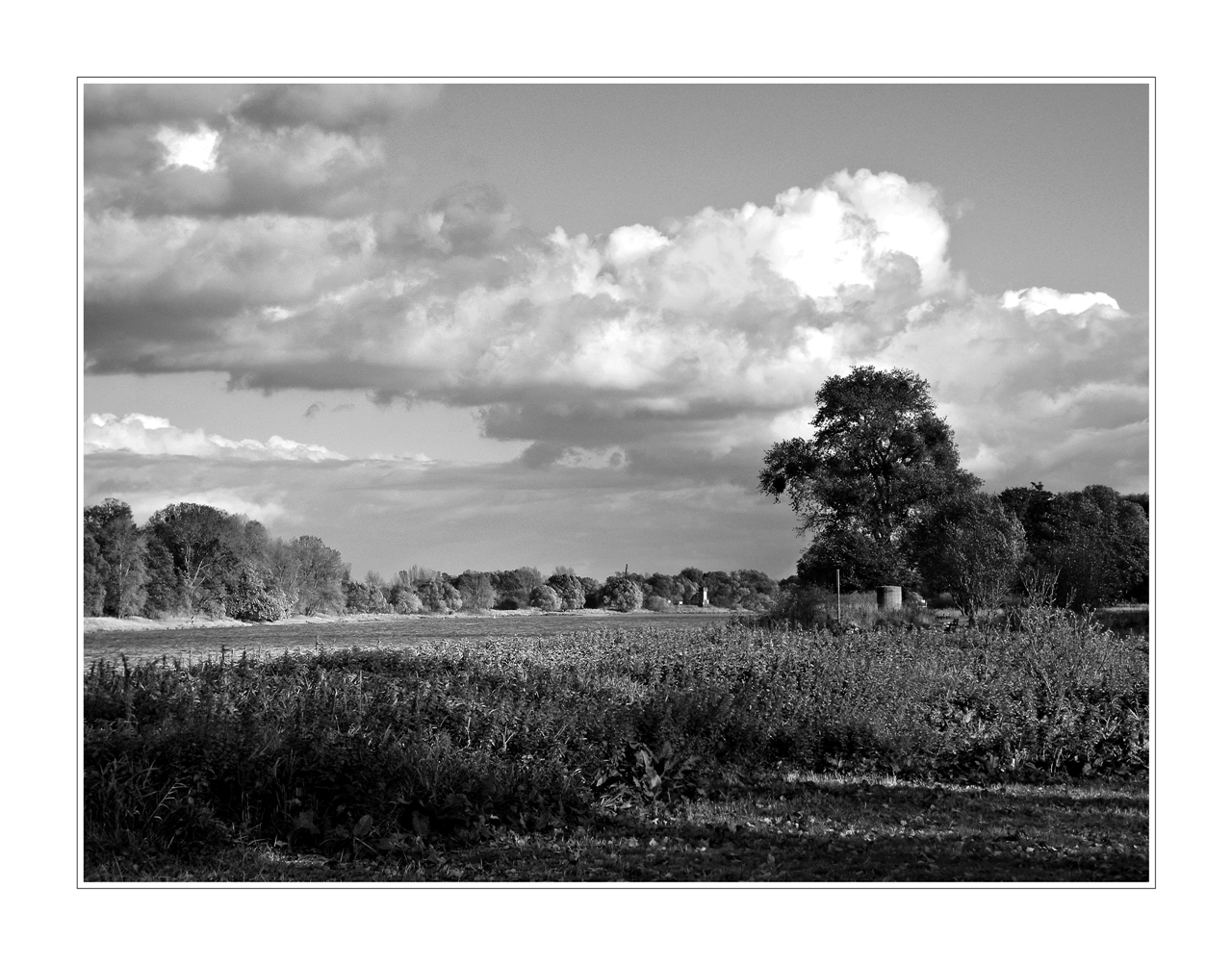 Flusslandschaft