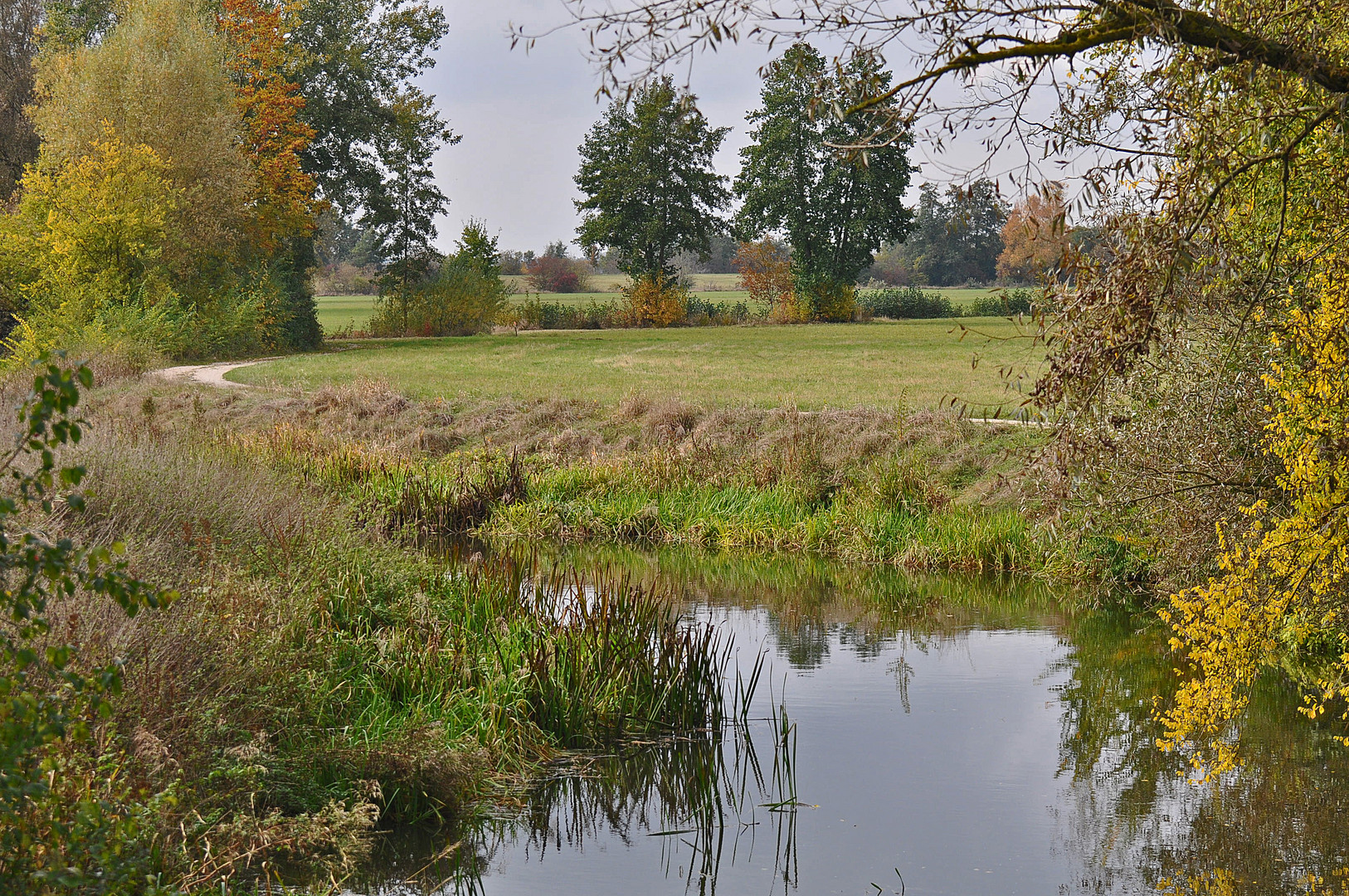 Flußlandschaft