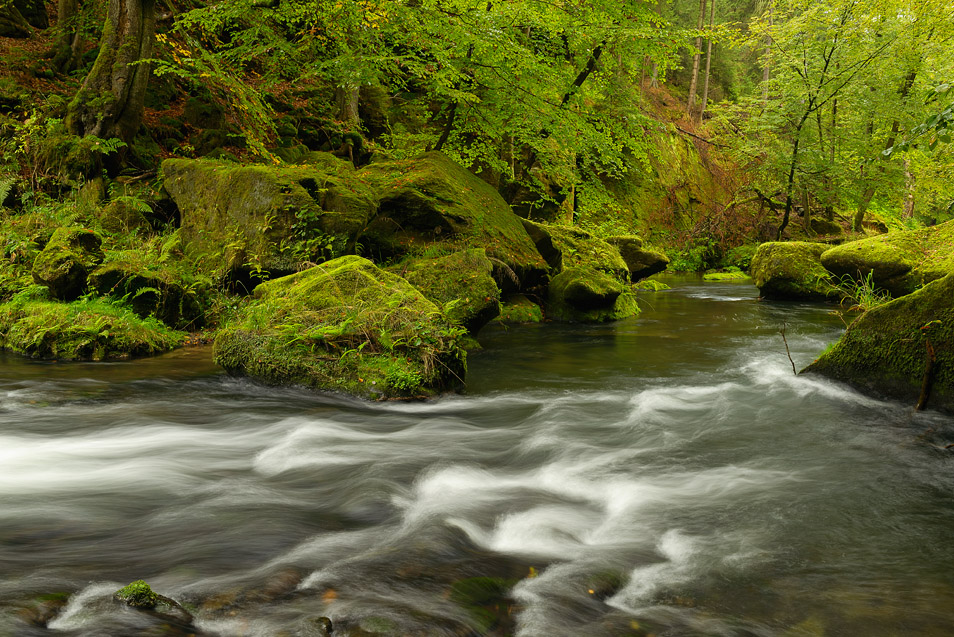 Fluss|Landschaft