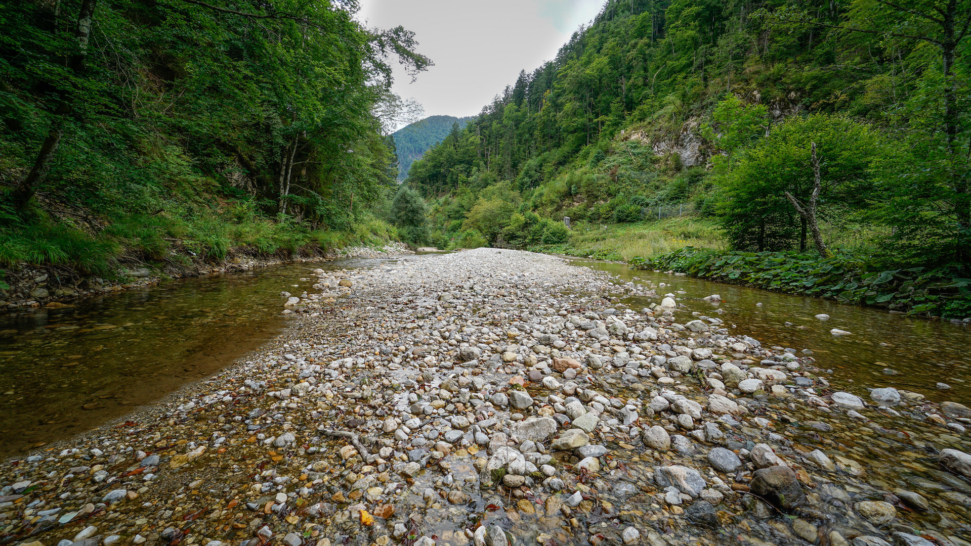 Flußlandschaft