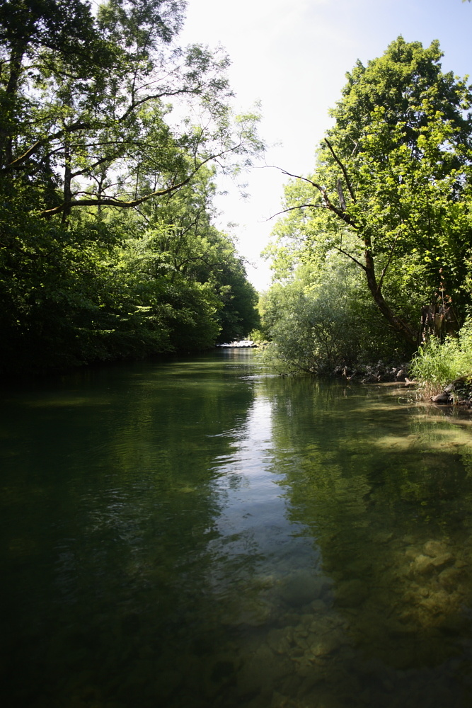 Flußlandschaft