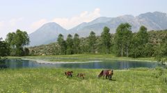 Flusslandschaft