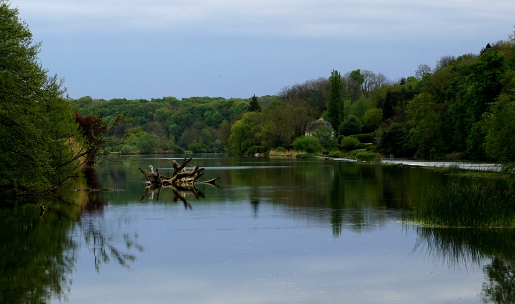 Flusslandschaft