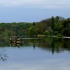 Flusslandschaft