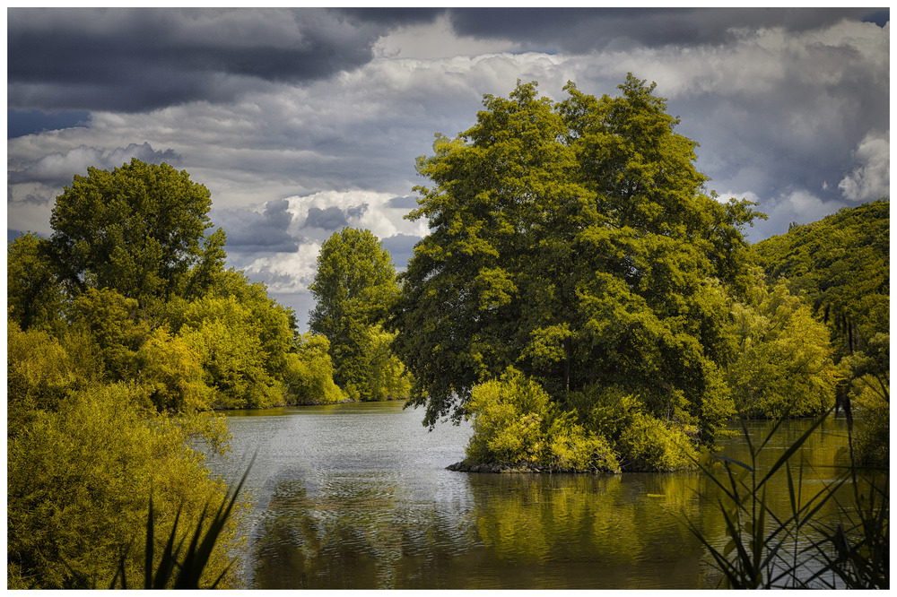 Flusslandschaft am Main