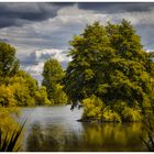 Flusslandschaft am Main