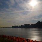 Flusslandschaft am Rhein