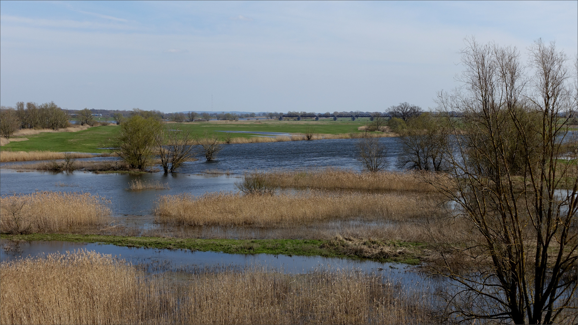 Flusslandschaft an der Elbe