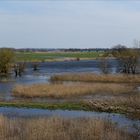 Flusslandschaft an der Elbe