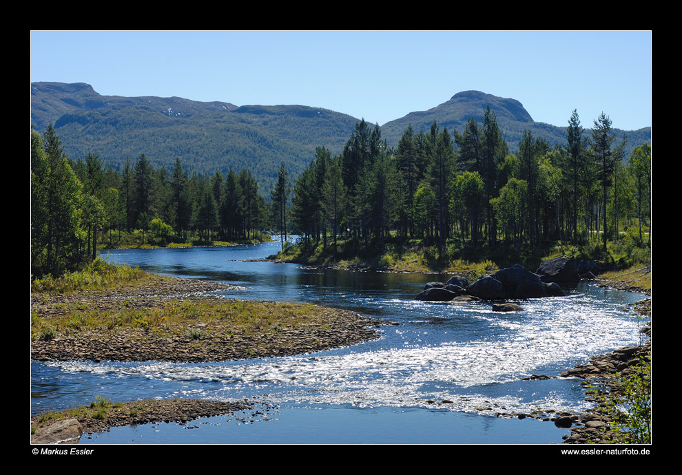 Flusslandschaft an der Otra • Aust-Agder, Norwegen (81-21837)