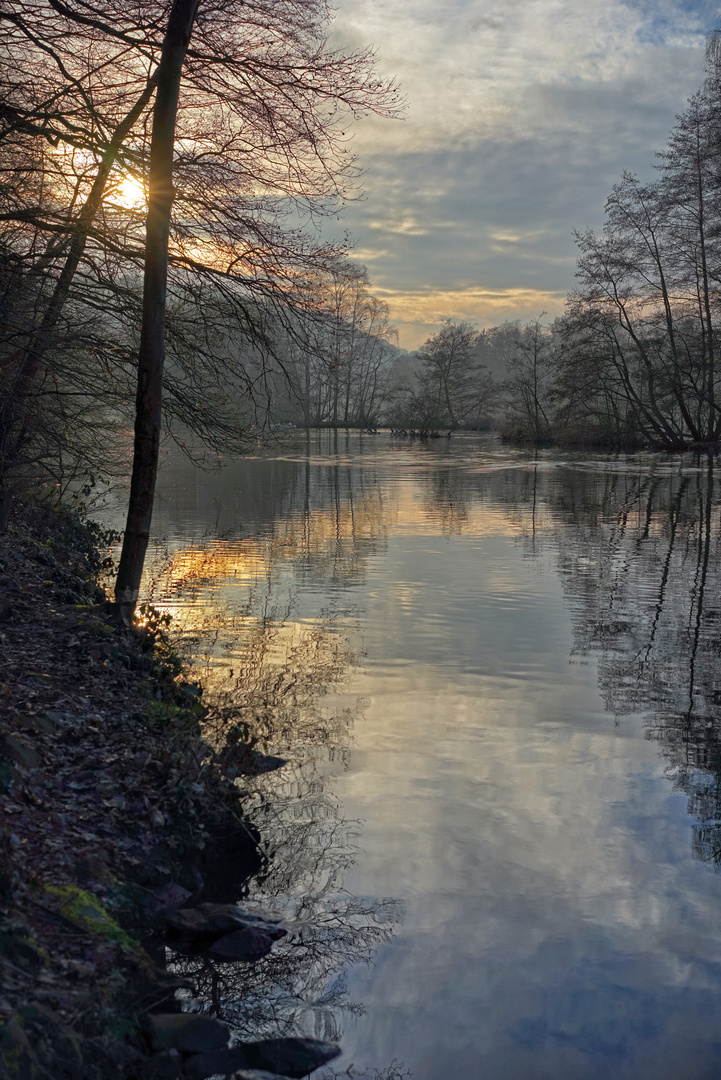 Flusslandschaft an der Ruhr