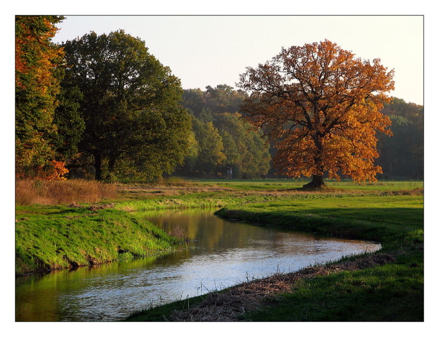 Flusslandschaft an der Warnow