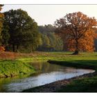 Flusslandschaft an der Warnow