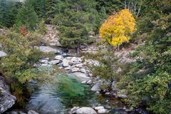 Flusslandschaft auf Korsika