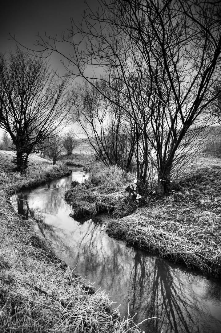 Flusslandschaft