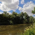 Flusslandschaft