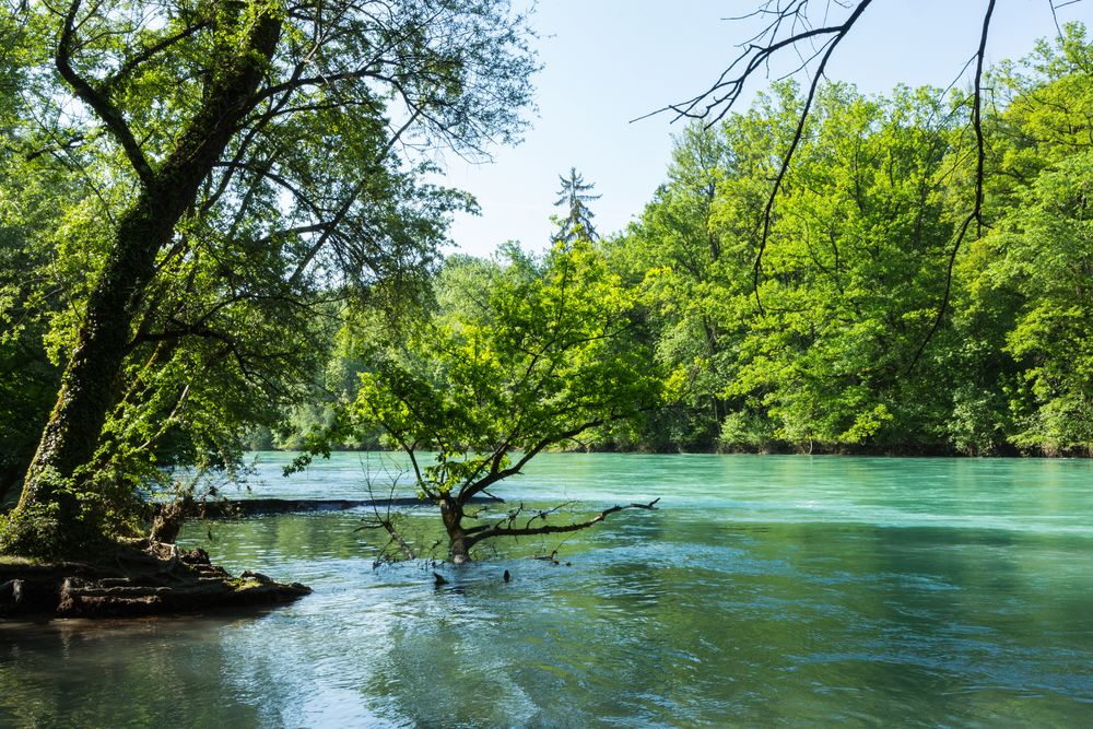 Flusslandschaft...