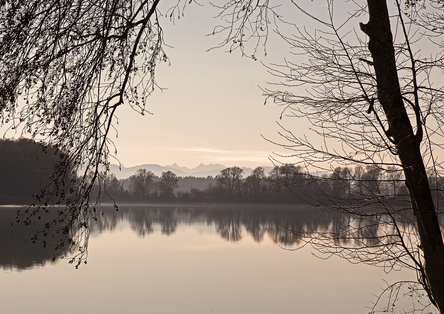 Flusslandschaft bei Attel am Inn