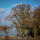 Flusslandschaft bei Straubing....