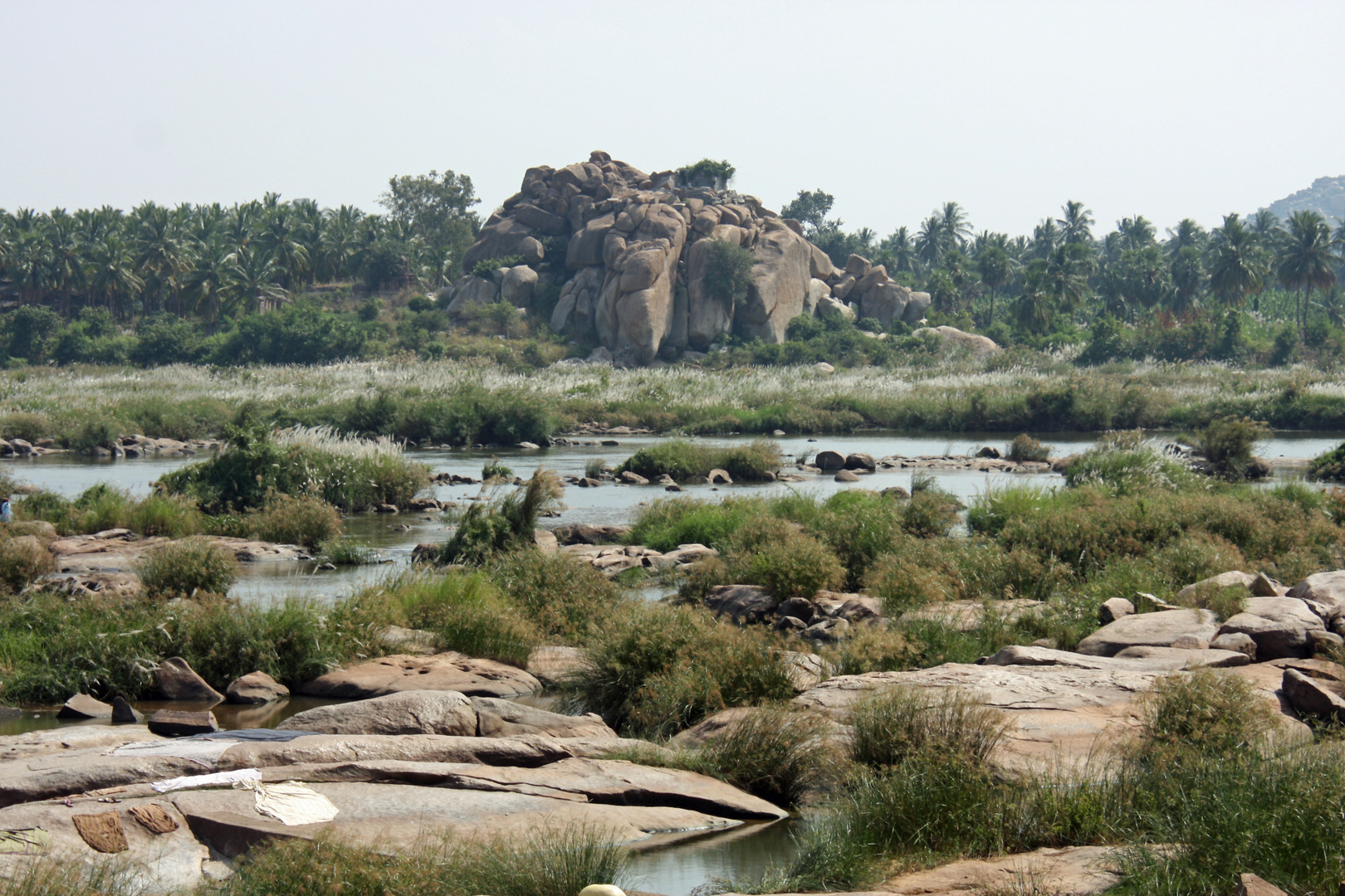 Flusslandschaft