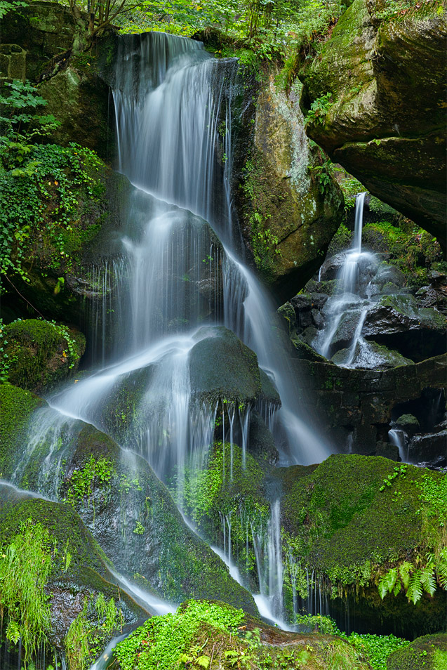 Fluss|Landschaft