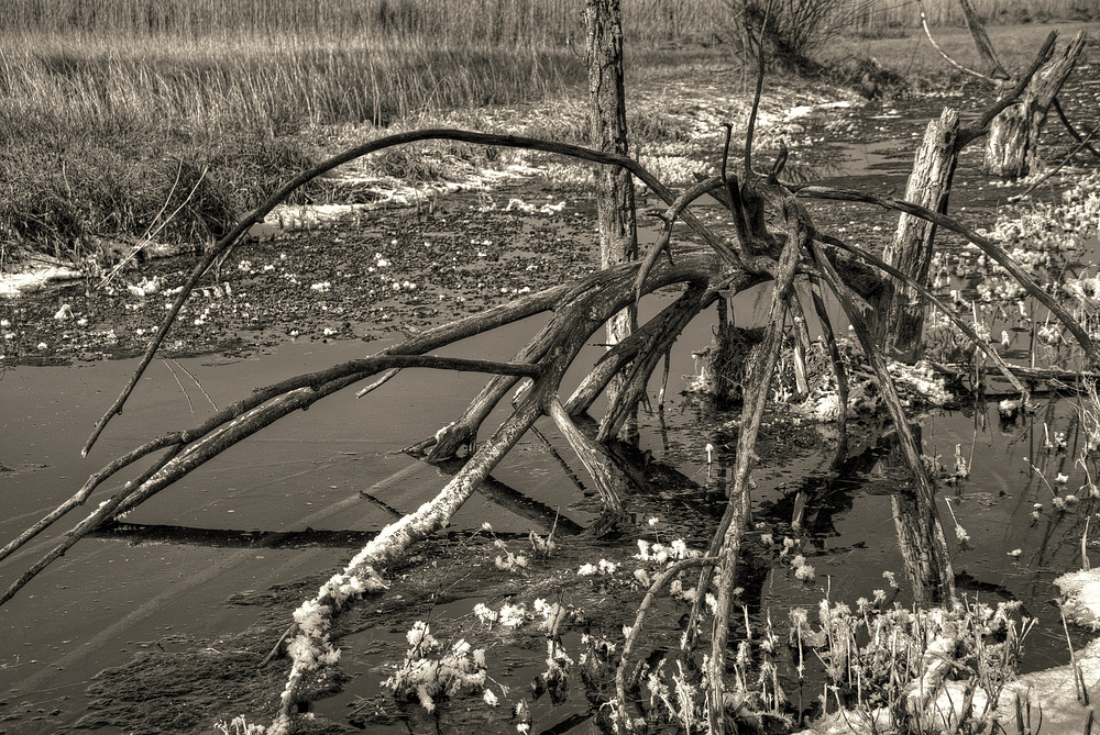 Flusslandschaft