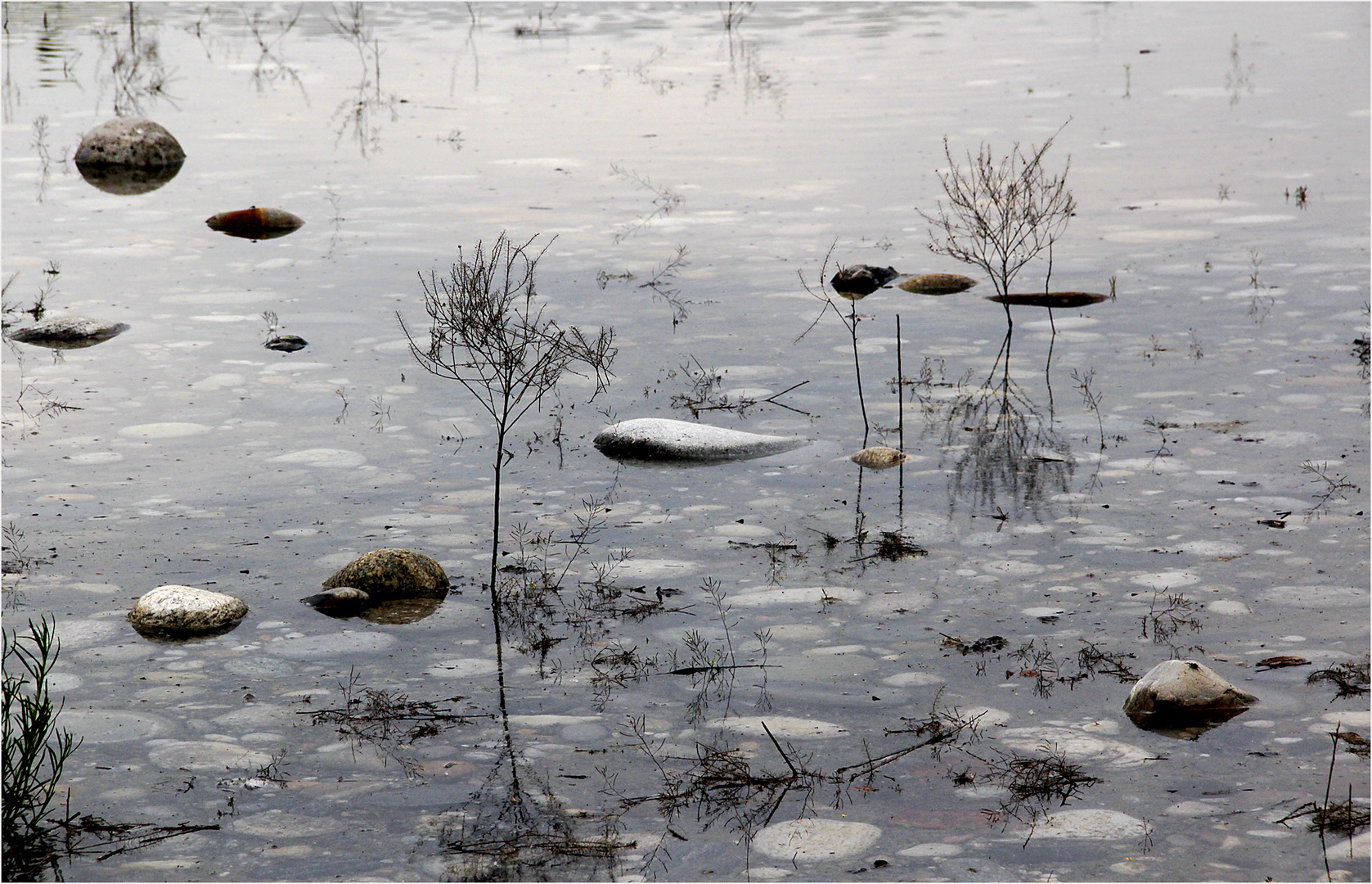 Flusslandschaft.