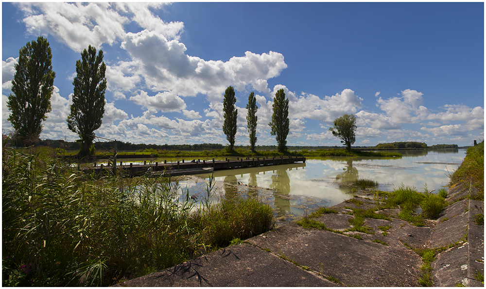 Flusslandschaft