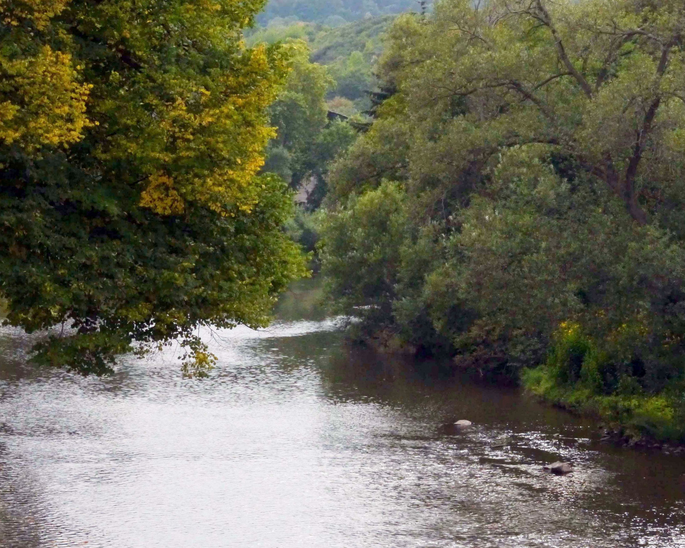 Flusslandschaft der Nahe