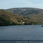 Flusslandschaft des Douro in der Abendsonne