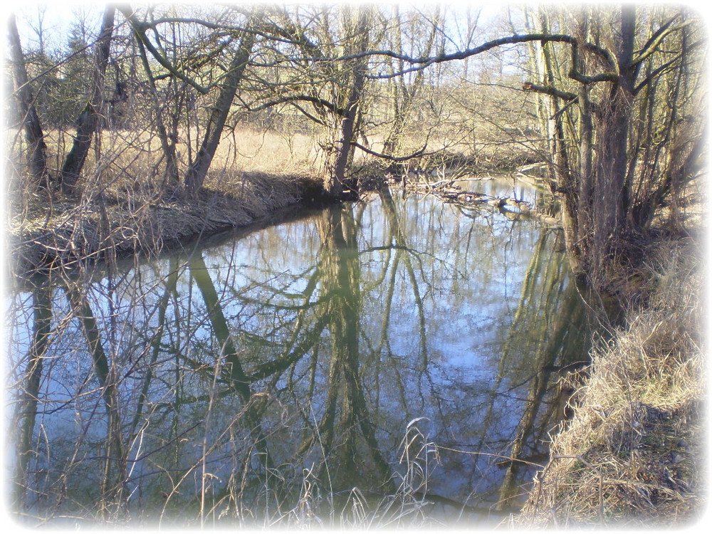 Flusslandschaft - Die Haune.....