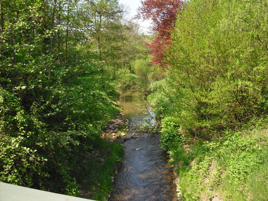 Flußlandschaft, die Zweite