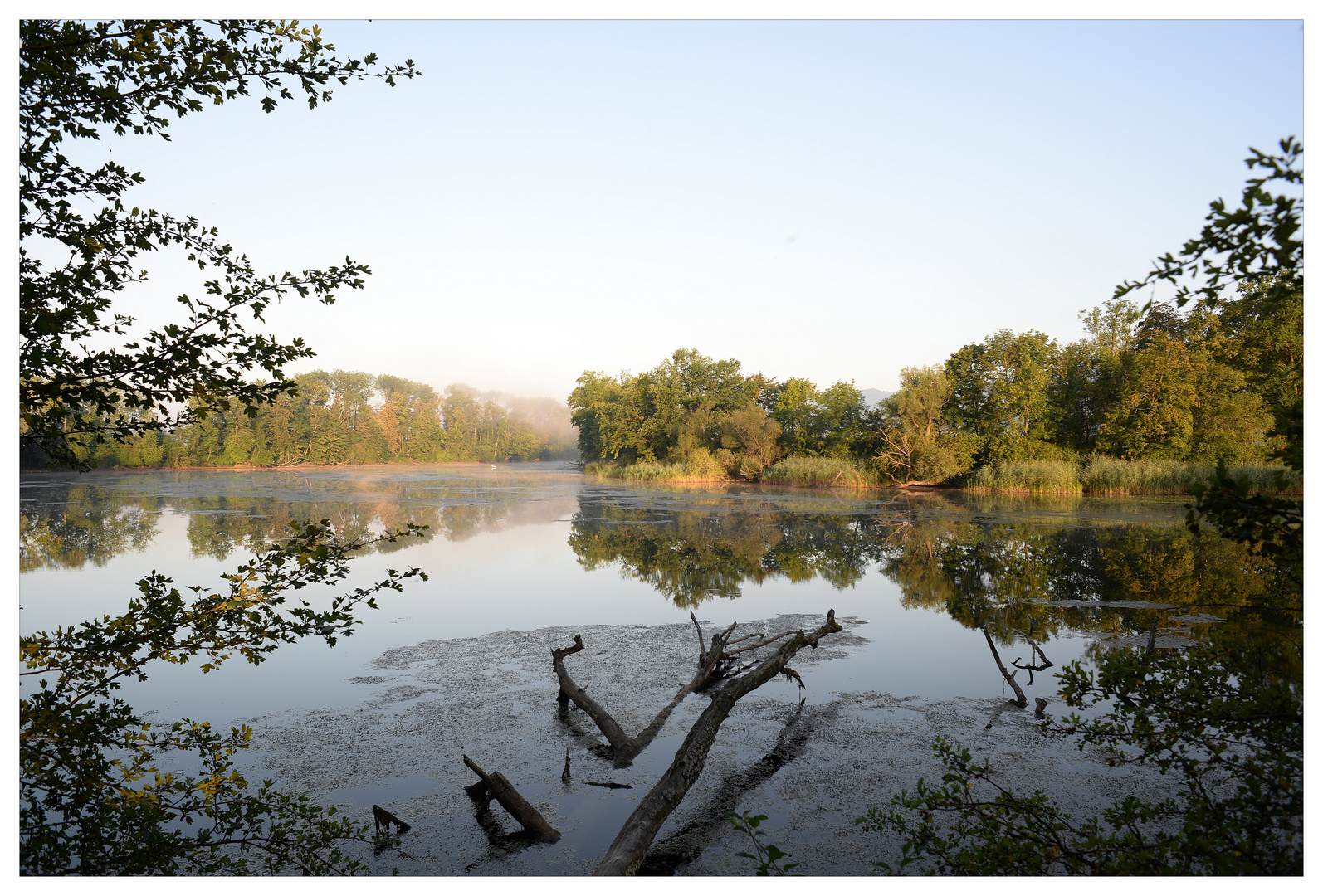 Flusslandschaft