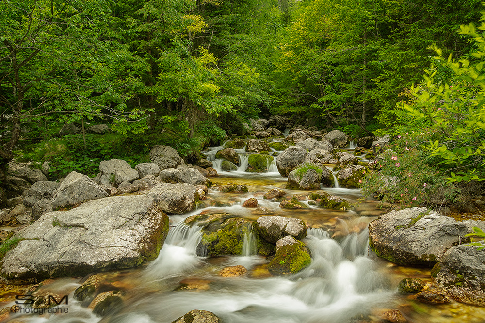 FlussLandschaft