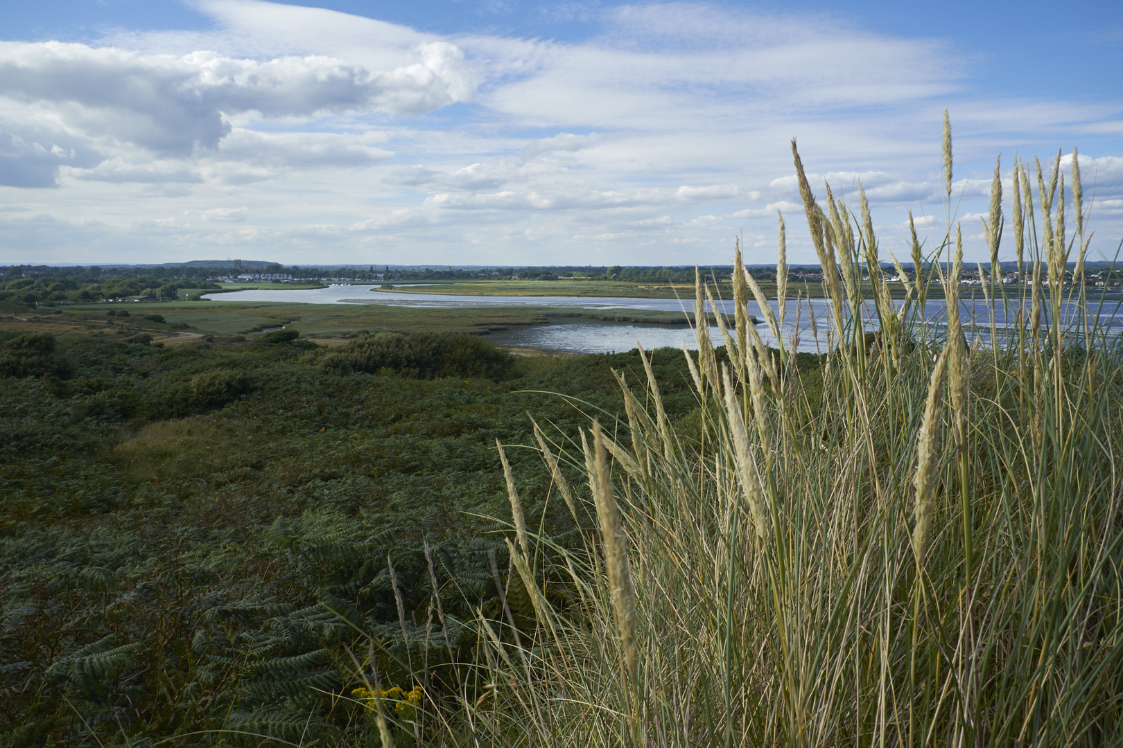 Flusslandschaft